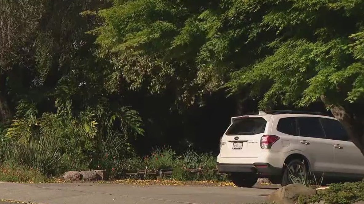 DHS operation in Moraga